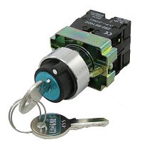 Ключ выключатель RUICHI 3SA8-BG25, 2 положения, NO-NC, 3 А, 240 В, IP40, винтовой зажим | код 71613 | Ruichi