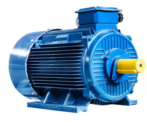 Электродвигатель 355 S2 IM 1001 250/3000 Китай (5АИ) | код 01.01.220133 | ESQ