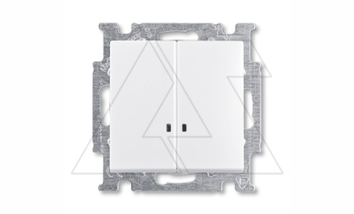 Basic 55 - Выключатель двухклавишный с подсветкой (белый, блистер) | код 1012-0-2154-00.00-01.01-01.00 | ABB