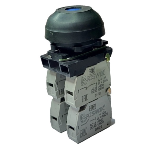 Выключатель Briswik КЕ 082/8м синий 1но+2нз Цилиндр с наружным протектором IP66 УХЛ2 10А | код aZ-DB-3Ai-0533 | Briswik Выключатель Briswik КЕ 082/8м синий 1но+2нз Цилиндр с наружным протектором IP66 УХЛ2 10А | код aZ-DB-3Ai-0533 | Briswik