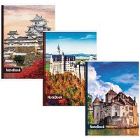 Тетрадь А4, 96 л., BRAUBERG ЭКО скоба, клетка, обложка картон, ЗАМКИ, 403070 | код 403070 | BRAUBERG