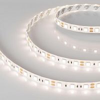 Лента герметичная RTW-SE-B60-10mm 12V Day4000 (14.4 W/m, IP65, 5060, 5m) (, 14.4 Вт/м, IP65) | код 015453(2) | Arlight