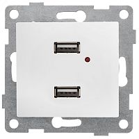 GUSI Bravo механизм розетки USB, двойной, скрытая установка. Цвет белый. | код С10USB2-001 | GUSI ELECTRIC