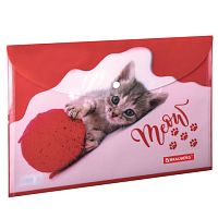 Папка-конверт с кнопкой BRAUBERG Котенок, А4, 160 мкм, цветная печать, 228038 | код 228038 | BRAUBERG