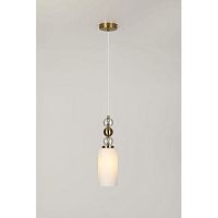 Светильник подвесной 1хЕ27 40Вт 3181-201 модерн Antonella Rivoli | код Б0068046 | Rivoli