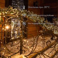 Гирлянда светодиодная "Нить" 10м 100LED син. 10Вт 230В IP65 постоян. свечение провод ПВХ прозр. (нужен шнур питания 303-500-1) Neon-Night 305-183