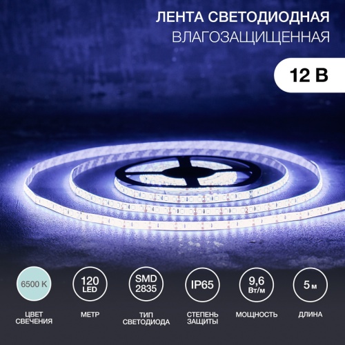 LED лента силикон, 8 мм, IP65, SMD 2835, 120 LED/m, 12 V, цвет свечения белый | код 141-365 | LAMPER LED лента силикон, 8 мм, IP65, SMD 2835, 120 LED/m, 12 V, цвет свечения белый | код 141-365 | LAMPER