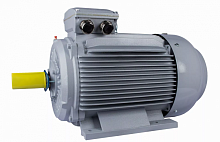 Электродвигатель 355 MA2-SDN-Б1-S12-IE3 IM B3 250/3000 Китай (ESQ PR) | код 01.05.01.000011 | ESQ