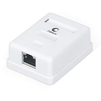 Cabeus WS-8P8C-Cat.6-SH-1 Розетка компьютерная RJ-45(8P8C), категория 6, экранированная, одинарная, внешняя, Dual IDC | код 7988c | Cabeus