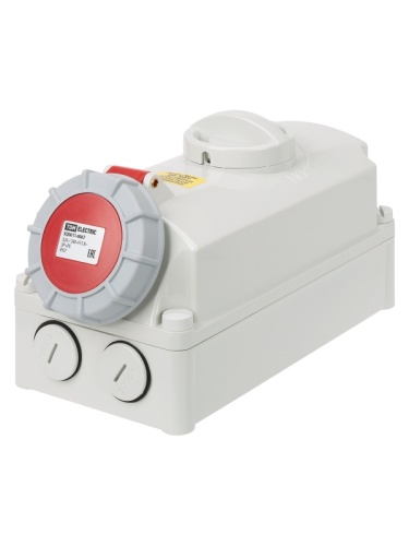 Розетка настенная, с выключателем и блокировкой IP67 32А 3Р+РЕ 380В TDM | код SQ0611-0067 | TDM