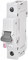Автоматический выключатель ETIMAT P10 DC 1p C 1A (10 kA) | код 260101105 | ETI