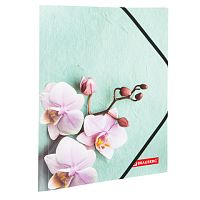 Папка на резинках BRAUBERG Флора, А4, цветная печать, до 300 листов, 500 мкм, 228032 | код 228032 | BRAUBERG