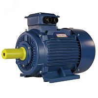 Электродвигатель 5АИ 160 S4 15/1500 IM 1001 | код 01.01.213688 | Элком