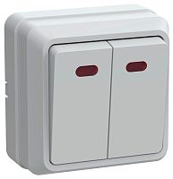 Выключатель 2-клавишный ОКТАВА, с подсветкой, скрытый монтаж, белый | код. EVO21-K01-10-DC | IEK