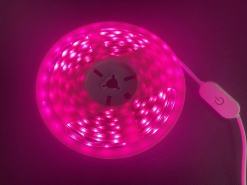 Лента светодиодная ФИТО DSL-010 IP65 (уп.3м) Camelion 15840 фото 5 Лента светодиодная ФИТО DSL-010 IP65 (уп.3м) Camelion 15840 фото 5