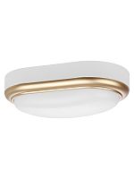 Светильник накладной LED ДПО Антарес 15Вт 6500К овал 221*131*68 мм мат.золото IP54 TDM | код SQ0354-0028 | TDM