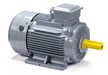 Электродвигатель 100 L6 GST-Б1-S12-IE2 IM 1081 2.2/1000 Китай (ESQ PR) | код 01.01.223755 | ESQ