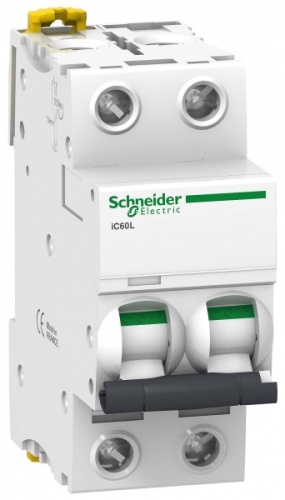 Выключатель автоматический двухполюсный iC60L 1А B 15кА | код. A9F93201 | Schneider Electric 