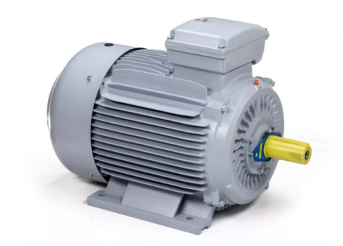 Электродвигатель 180 M2-SDN-Б1-S12-IE3 IM B3 22/3000 Китай (ESQ PR) | код 01.05.02.000089 | ESQ