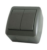 Выключатель 2-кл. открытой установки IP44 10А серый Селигер TDM | код SQ1818-0102 | TDM