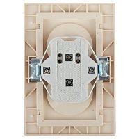 Розетка Intro Plano 1-204-02 без заземления двойная 2х2P, 16А-250В, IP20, СУ, Plano, слоновая кость | код Б0053905 | ЭРА