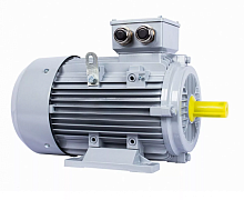 Электродвигатель 100 LA4-SDN-Б1-S12-IE3 IM B3 2.2/1500 Китай (ESQ PR) | код 01.05.02.000126 | ESQ