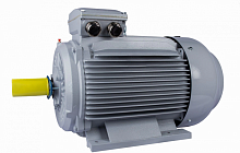 Электродвигатель 280 M6-SDN-Б1-S12-IE2 IM B3 55/1000 Китай (ESQ PR) | код 01.05.02.222801 | ESQ