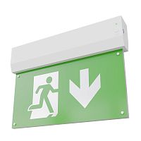 Светильник ДПО-80-1-133 Faeton DT LED | код 1180001133 | Ардатовский светотехнический завод