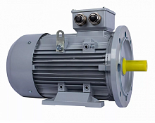 Электродвигатель 100 LA2-SDN-Б1-S12-IE2 IM B35 3/3000 Китай (ESQ PR) | код 01.05.02.000010 | ESQ