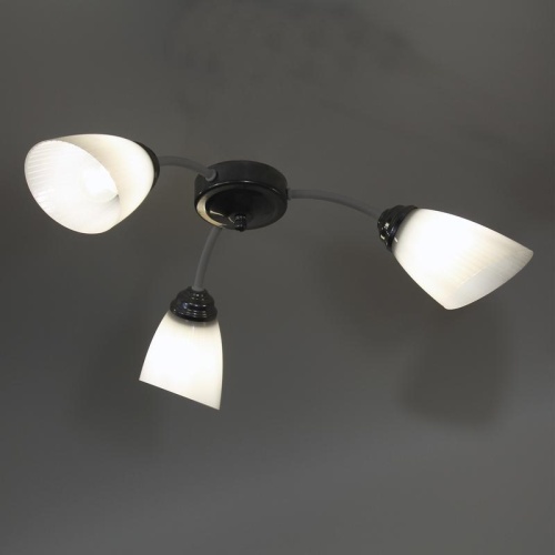 Светильник Китти 131 бел. хром (плафон П0475) НПБ 01-3х60-194 Е27 ИУ | код 1005404447 | Элетех фото 5