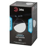 Светильник трековый однофазный TR42-GX53 BK под лампу GX53 черный | код Б0054178 | ЭРА