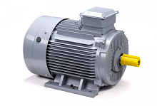 Электродвигатель 180 S4 GST-Б1-S12-IE2 IM 1001 22/1500 Китай (ESQ PR) | код 01.01.223783 | ESQ