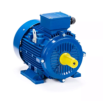 Электродвигатель 315 LB6-SDN- IM B3 132/1000 Китай (ESQ) | код 01.05.222511 | ESQ