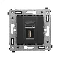 Avanti USB 2.0 розетка одинарная в стену, тип А-А, , Черный матовый | код 4412403 | DKC