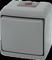 Выключатель 1-клавишный (серый) (IP54) VHE-1-SR | код 004668060 | ETI