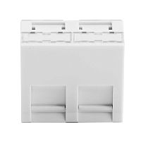 Вставка 45x45 для 2 модулей Keystone, наклонная (аналог Mosaic), цвет белый | код RNW452AWH | DKC