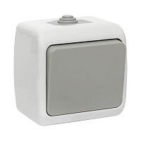 Мурманск Выключатель 1 -клавишный 10А IP54 серый | код EFV10-021-30-54 | EKF