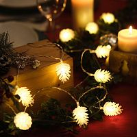 Гирлянда светодиодная "Шишки" 5м 30LED тепл. бел. провод прозр. с контроллером | код 303-069 | Neon-Night