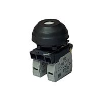 Выключатель Briswik КЕ 081/3м белый 0но+2нз Цилиндр с наружным протектором IP66 УХЛ2 10А | код aZ-DB-3Ai-0823 | Briswik