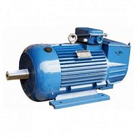 Электродвигатель 411-8 IM 1003 15/750 Китай (5МТН) | код 01.03.01.000608 | ESQ