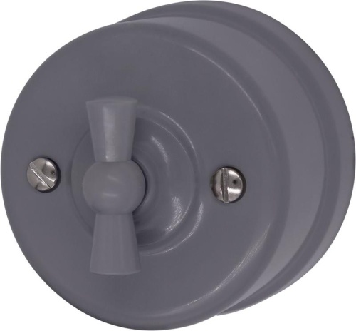 Выключатель 1-кл. пластик титан | код B1-200-26 | Bironi