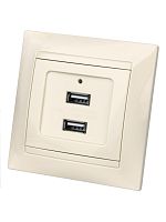 Розетка 2USB порт 2,1А 5В сл. кость Лама TDM | код SQ1815-0141 | TDM