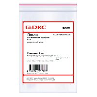 Петли для навесных корпусов STH, нержавеющая сталь, укороченный штифт, 2 шт | код R5ZIP-HINGE-INOX-S | DKC