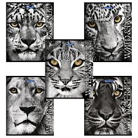 Тетрадь А5, 48 л., BRAUBERG ЭКО, клетка, обложка картон, ДИКИЕ И СВОБОДНЫЕ, 401810 | код 401810 | BRAUBERG