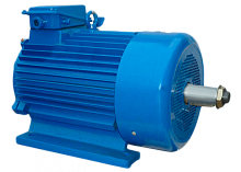 Электродвигатель 225 L6 IM 1003 55/1000 Китай (5МТКН) | код 01.03.02.000754 | ESQ