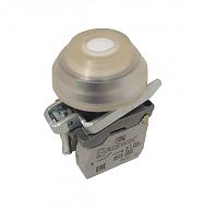 Выключатель Briswik КЕ 081/1м -С белый 2но+0нз Цилиндр с наружным -С протектором -С IP66 УХЛ2 10А | код aT-DB-3Ai-0822 | Briswik