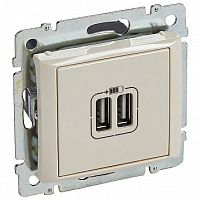 Розетка 2xUSB VALENA CLASSIC, слоновая кость | код. 774170 | Legrand