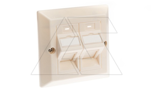 Адаптер для креплений информационных розеток в стену 2XRJ45, с пластиковым суппортом под винт | код 760301 | Toten Адаптер для креплений информационных розеток в стену 2XRJ45, с пластиковым суппортом под винт | код 760301 | Toten