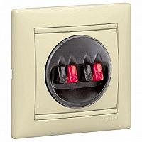 Аудио-розетка VALENA CLASSIC, слоновая кость | код. 774324 | Legrand