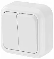 Беларусь Выключатель двухклавишный наружный